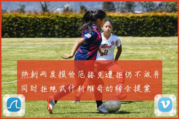 热刺两度报价范赫克遭拒仍不放弃同时拒绝武什科维奇的转会提案